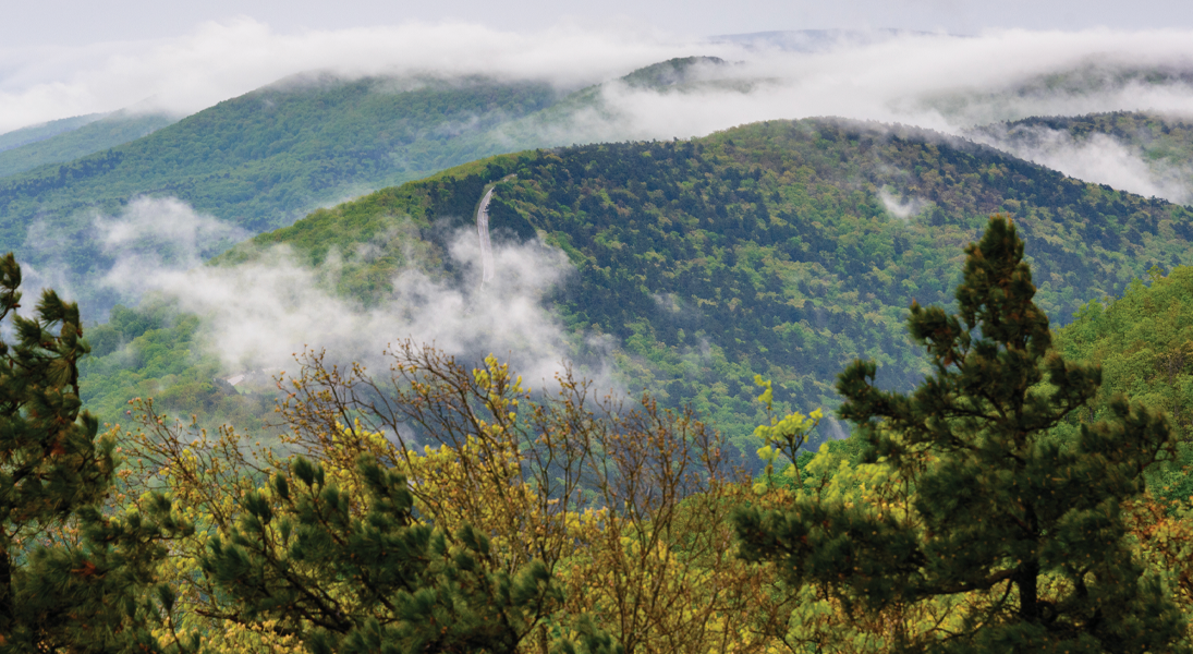Telling the truth about the lands we inhabit
