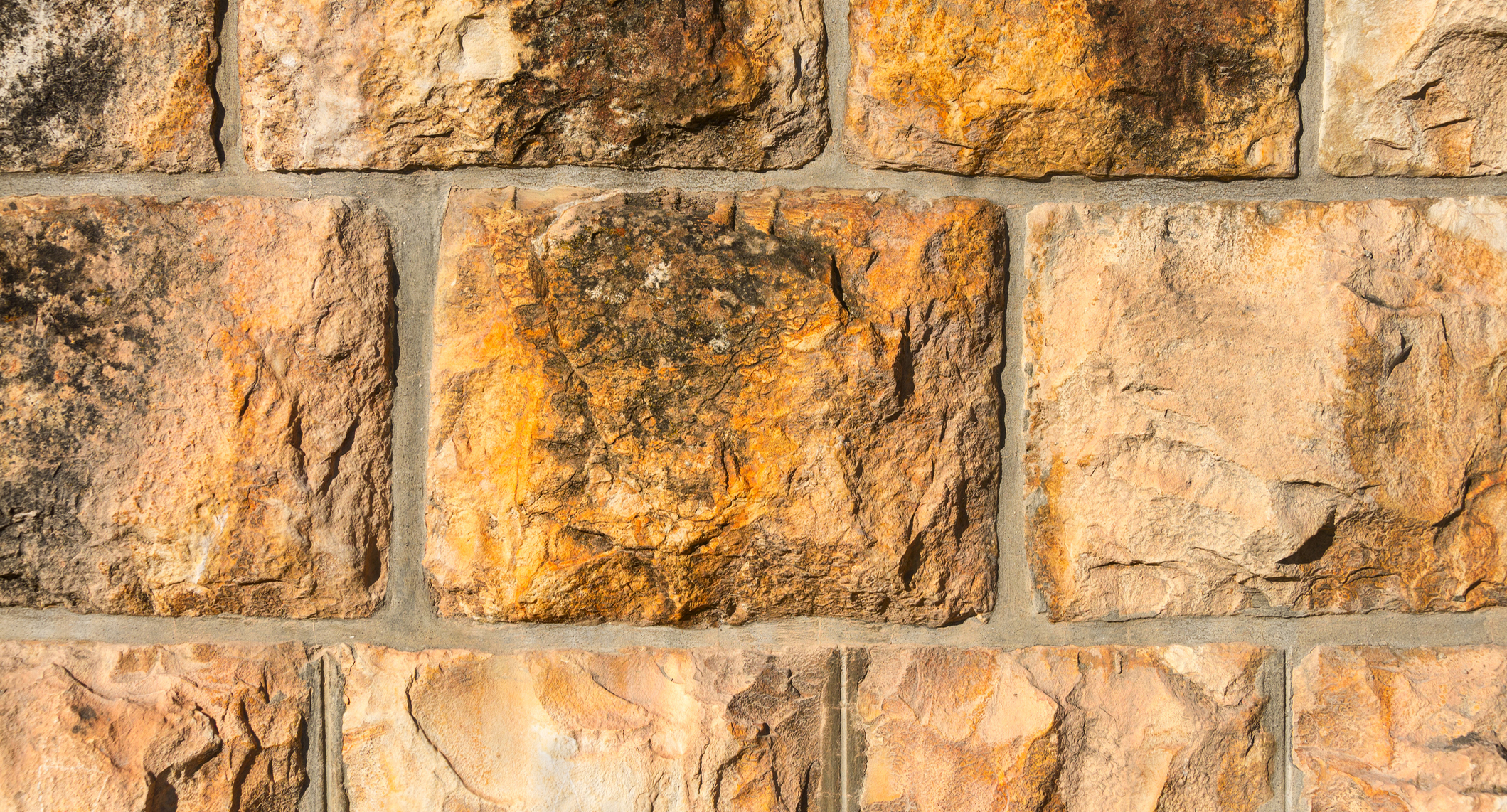 Lectionary blog: True greatness