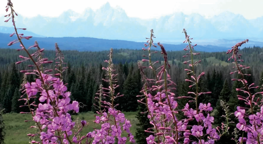 My faith journey: God, creator