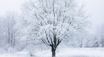 More than “Turn! Turn! Turn!”