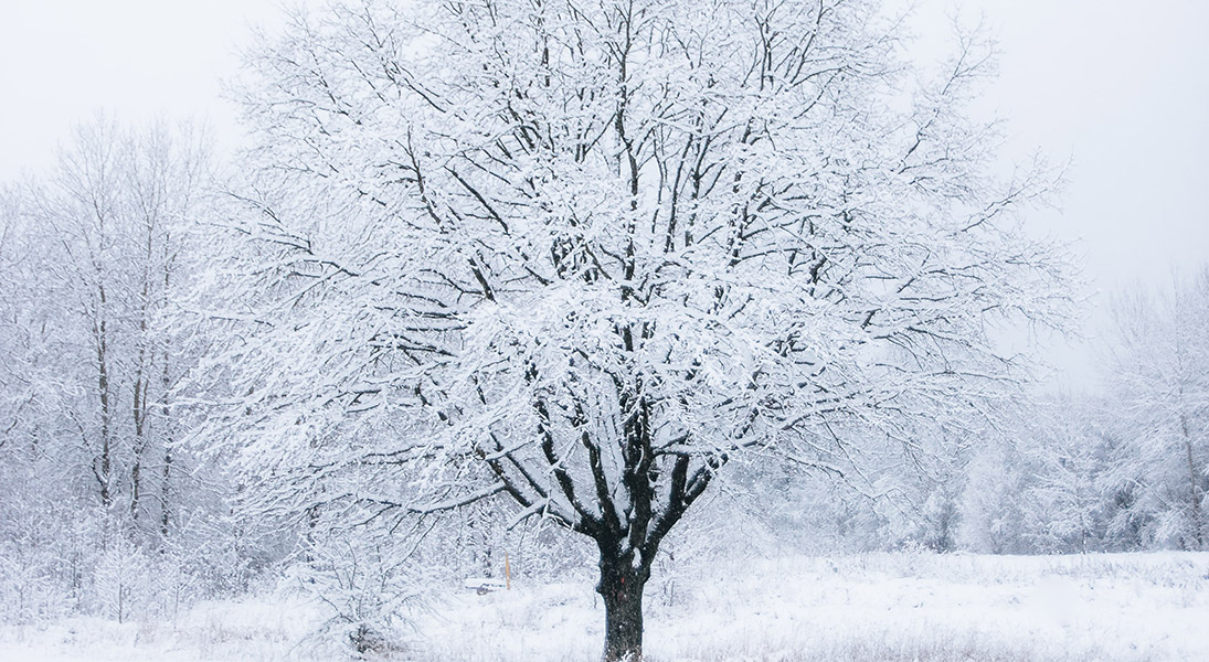 More than “Turn! Turn! Turn!”