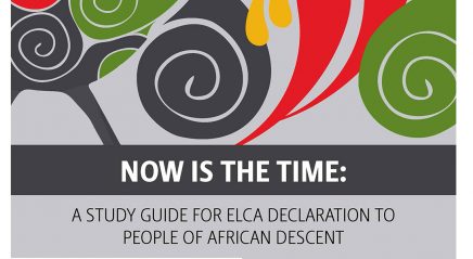 ELCA introduces “Now Is the Time” study guide