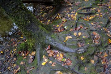 Prayer ventures: Feb. 19