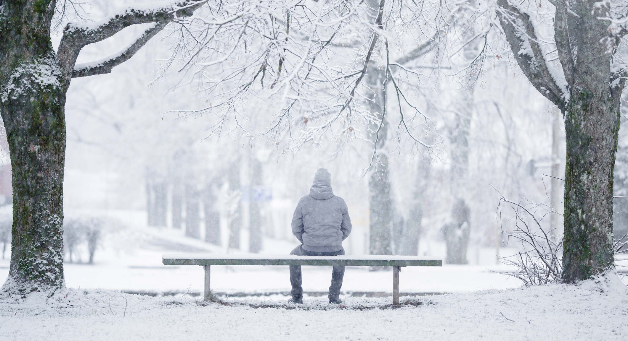 Man sit on bench in winter