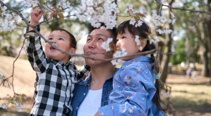 Invitations to come and look