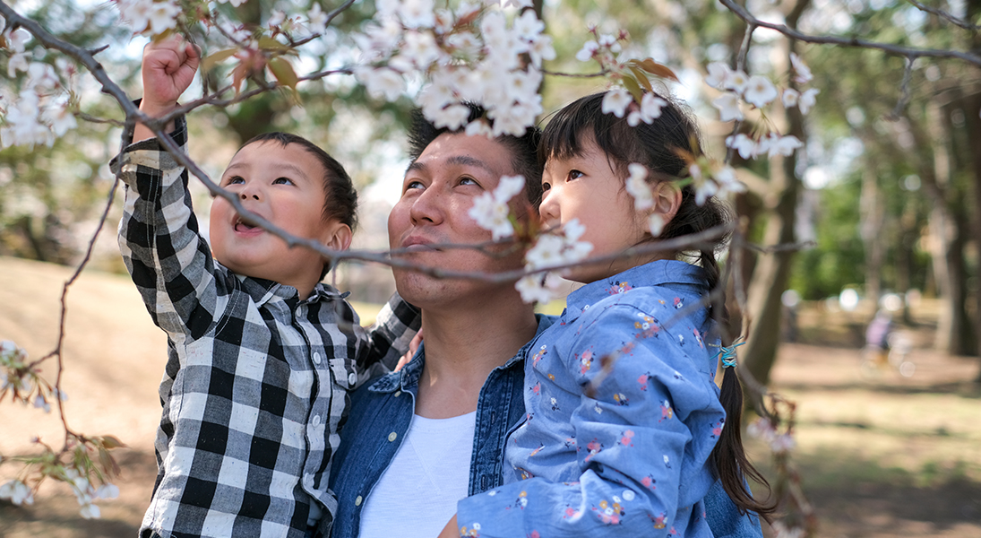 Invitations to come and look