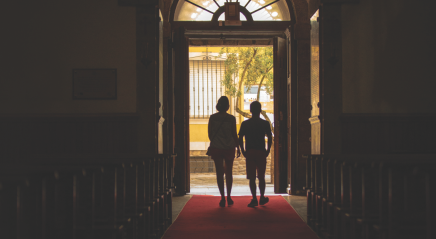 Study guide: They may not come back