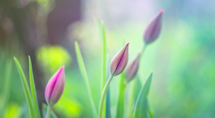 Prayer ventures: March 26