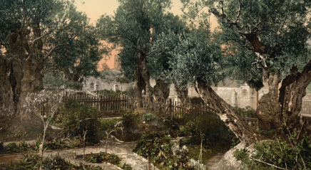 Encounters with Jesus