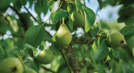 A call into right relationship