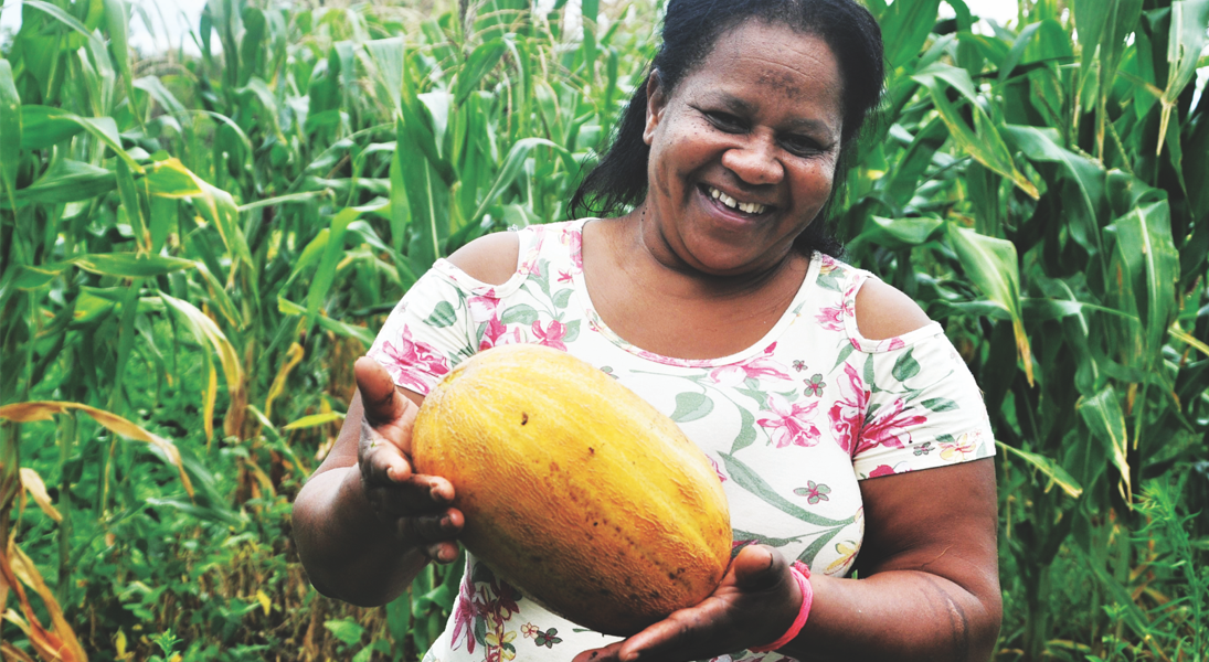 Harvesting food security