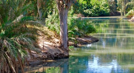 Lectionary blog: A big show