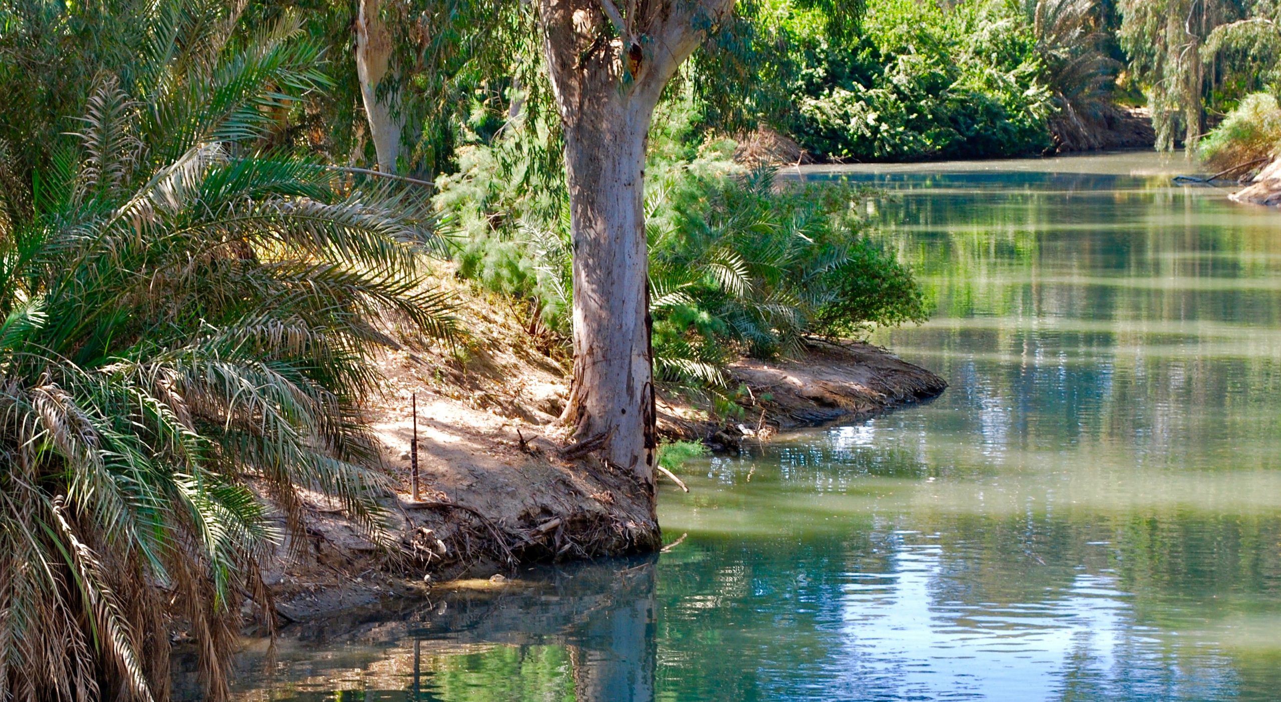 Lectionary blog: A big show