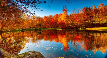 Prayer ventures: Oct. 28