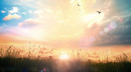 Lectionary blog: After things fall apart