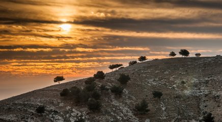 Lectionary blog: Starting at the ending