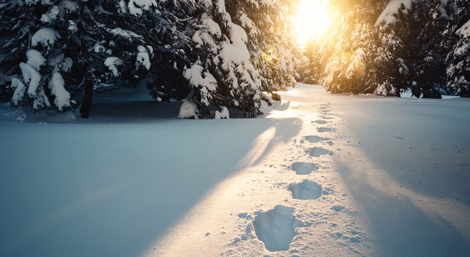 Winter landscape with footprints in fresh snow at sunrise