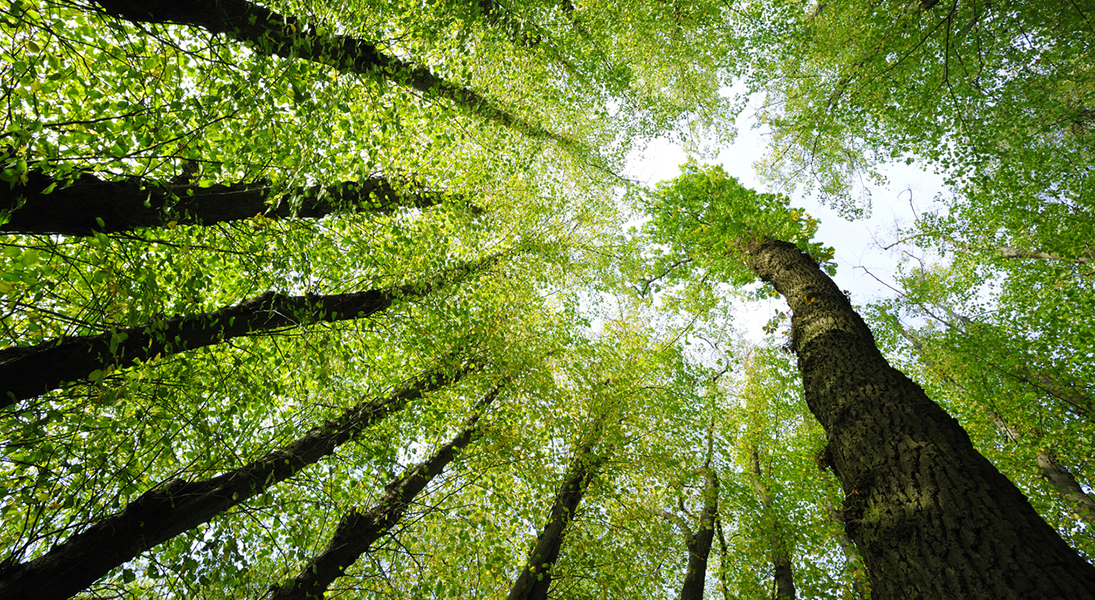 ELCA opens nominations on commission that could change church’s governance