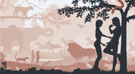 Lectionary blog: Falling and freeing