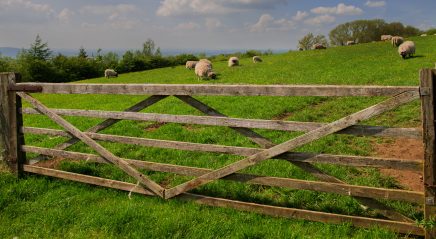 Lectionary blog: On doors and disciples