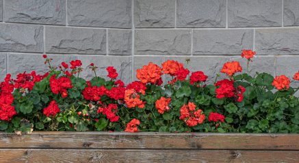 My view: The neglected festival