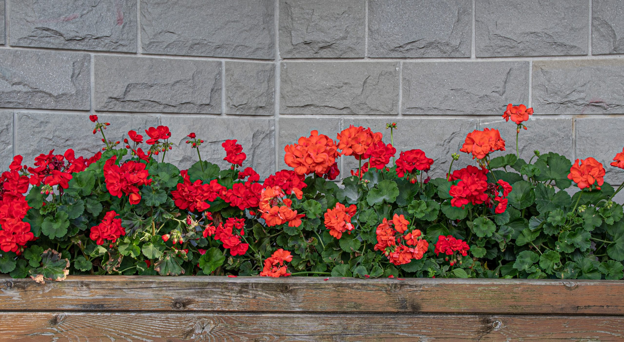 My view: The neglected festival