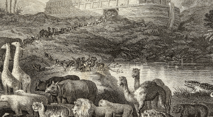 The story behind the story