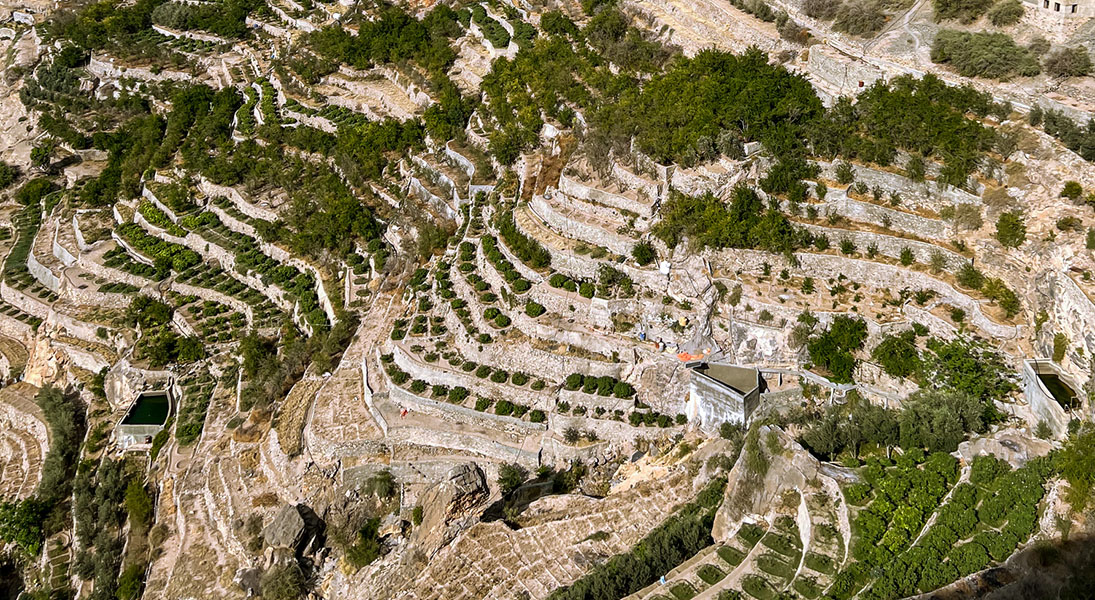 Lectionary blog: Seed and sower—let go!