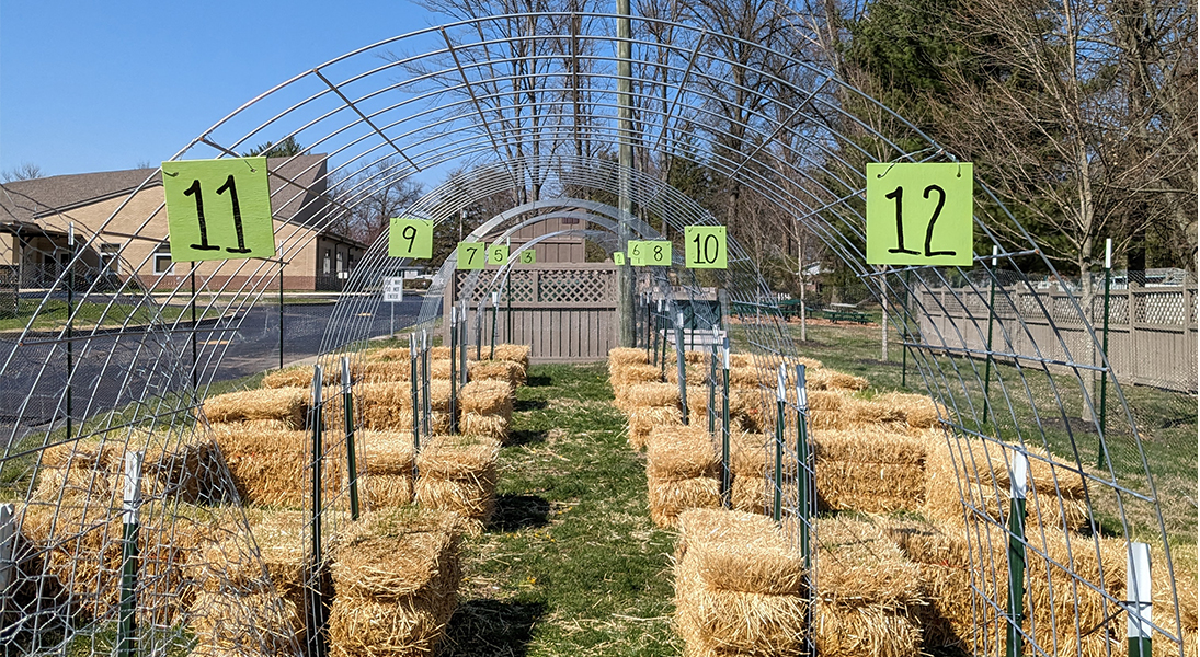 “Hungry to garden”