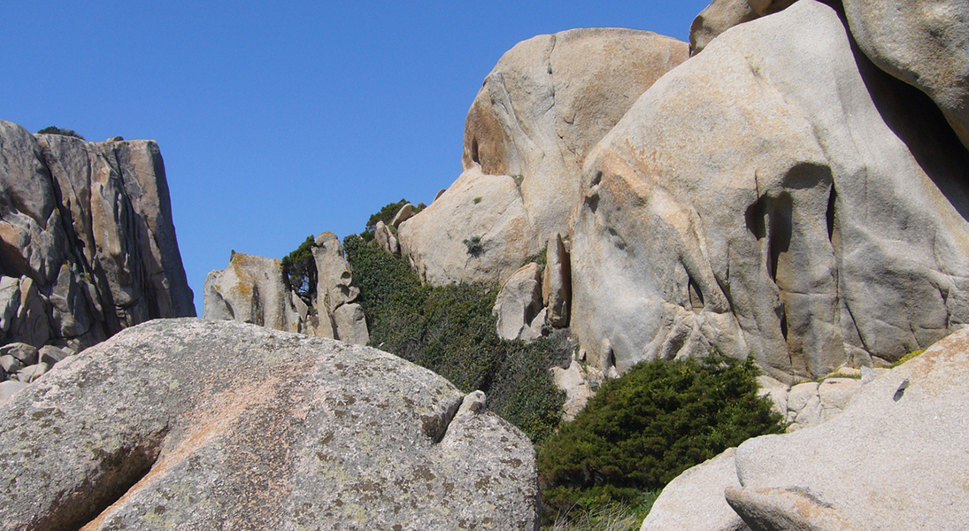 Lectionary blog: Dependable rocks