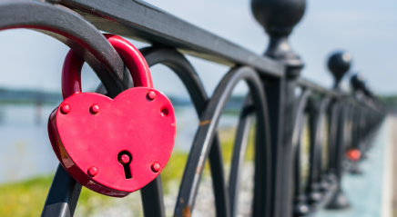 The compassion fence