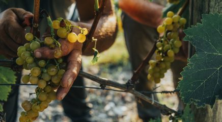 Lectionary blog: Removing limits on grace