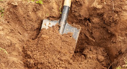 Lectionary blog: Don’t bury your talent!
