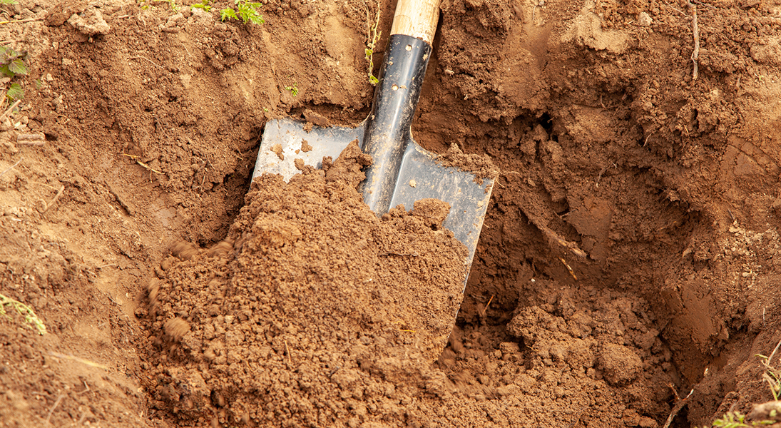 Lectionary blog: Don’t bury your talent!