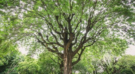 The good news of reconciling love