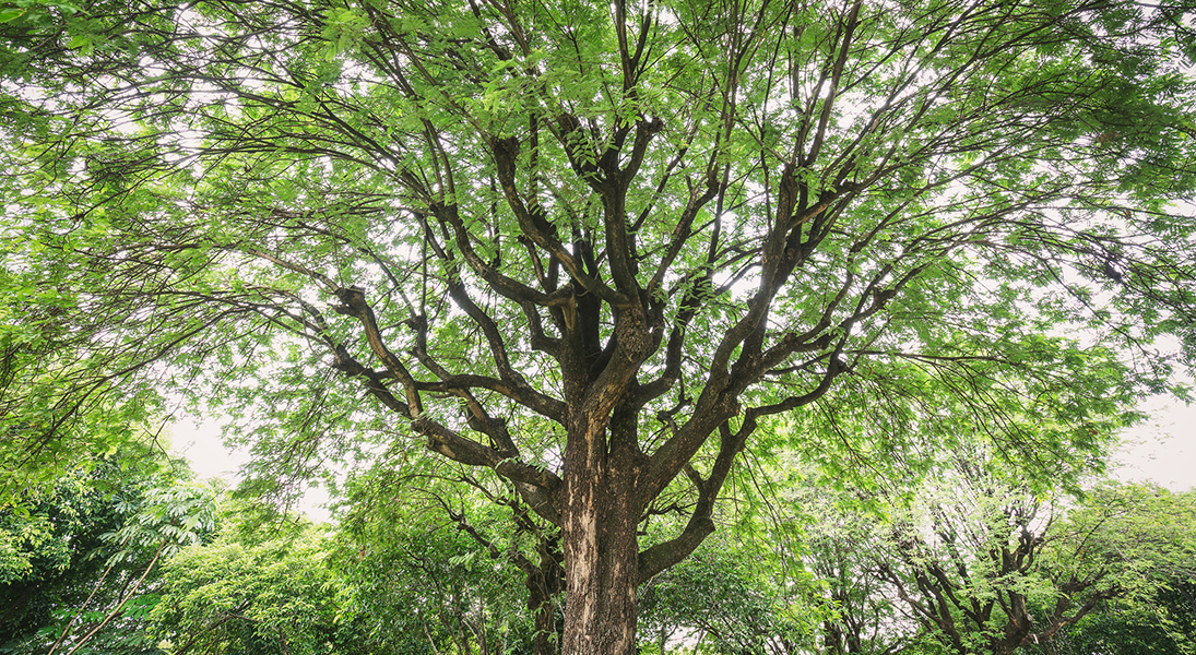 The good news of reconciling love