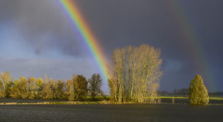 Lectionary blog: Responding to calamity