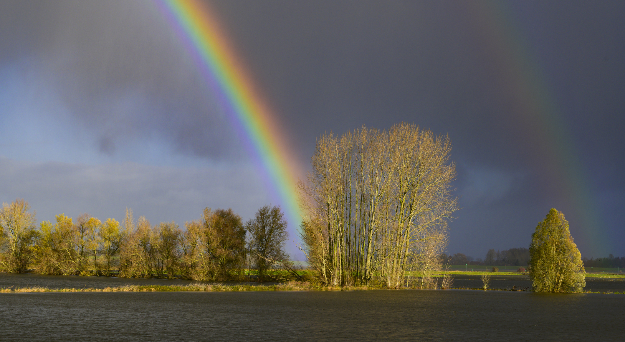 Lectionary blog: Responding to calamity