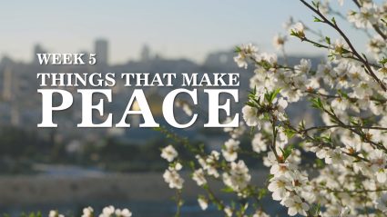 Sumud week 5: Things that make peace