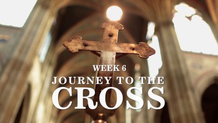 Sumud Week 6: Journey to the Cross