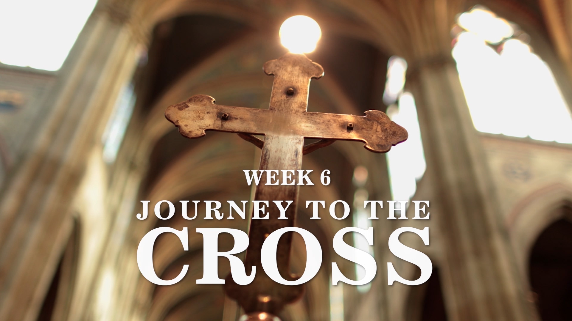 Sumud Week 6: Journey to the Cross