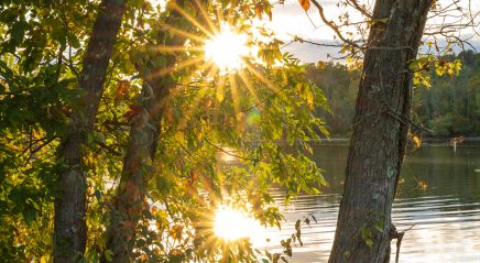 The ELCA’s call to “Care for Creation”