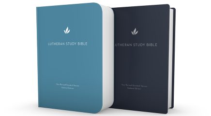 Engaging the word in new ways