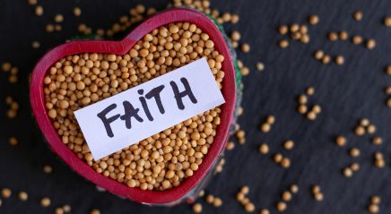 Lectionary blog: Increase our faith(fulness)