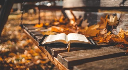 Prayer ventures: Nov. 1