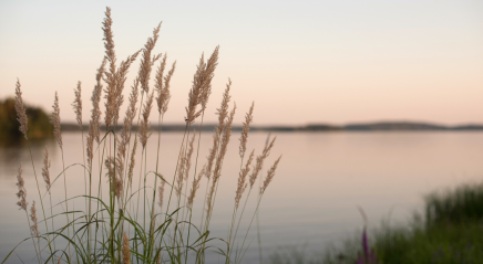 Prayer ventures: Oct. 14