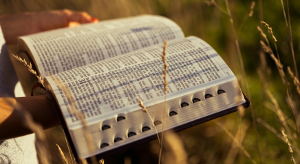 Prayer ventures: Nov. 25