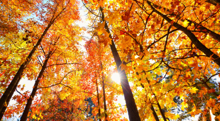 Prayer ventures: Nov. 22