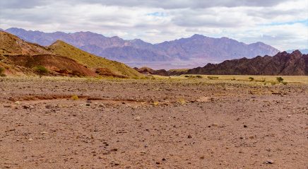 Lectionary blog: Prepare in the wilderness