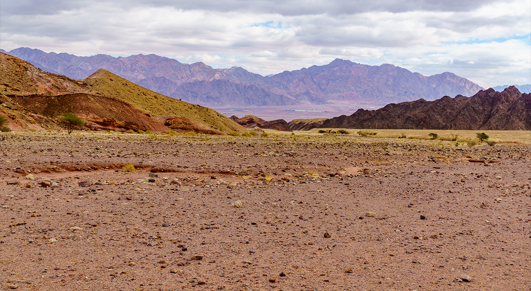 Lectionary blog: Prepare in the wilderness